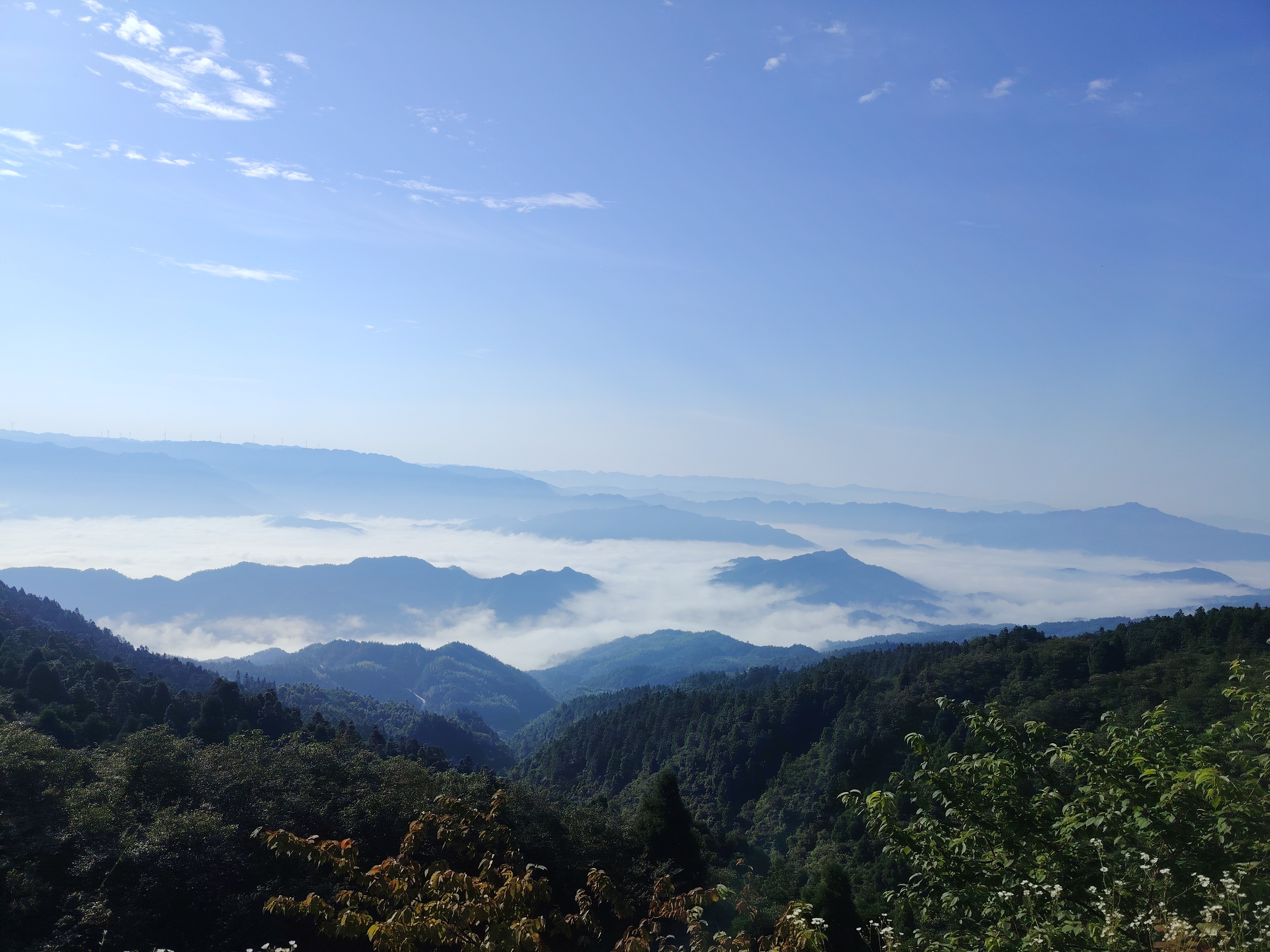 湖南柏晶智能科技有限公司